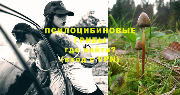 ГАЛЛЮЦИНОГЕННЫЕ ГРИБЫ Надым