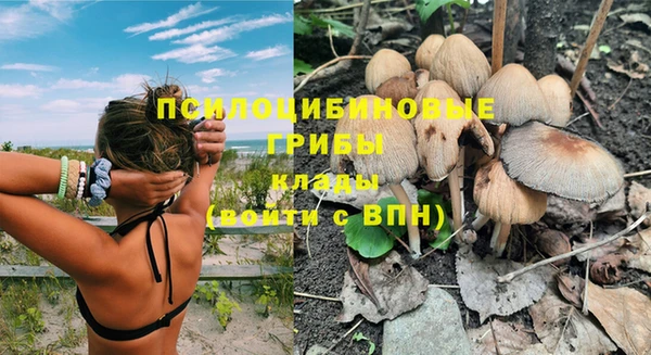 ГАЛЛЮЦИНОГЕННЫЕ ГРИБЫ Надым