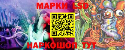 прущие крисы Кингисепп