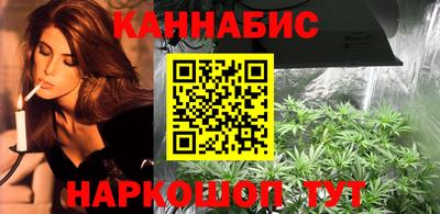 прущие крисы Кингисепп