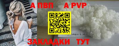 прущие крисы Кингисепп