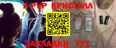 прущие крисы Кингисепп