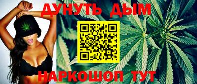 прущие крисы Кингисепп