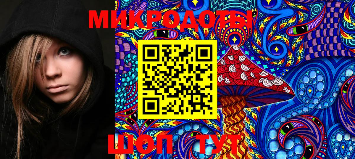 Псилоцибиновые грибы Psilocybe  Вход с VPN  Рассказово 