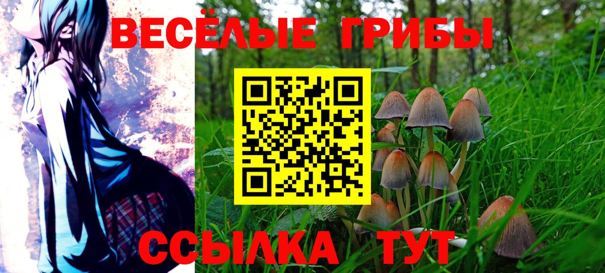 ГАШ Рассказово