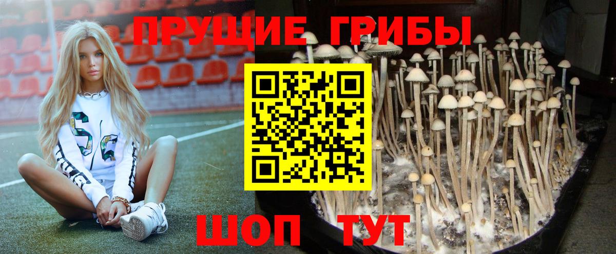Галлюциногенные грибы MAGIC MUSHROOMS Рассказово